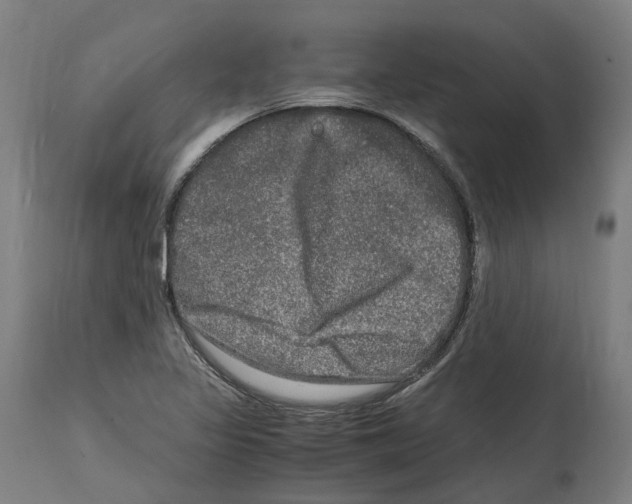 X0000114391317200911131334