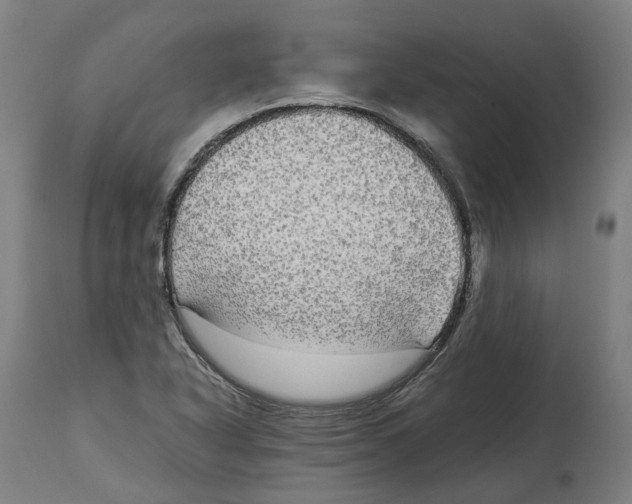 X0000114391318200911131334