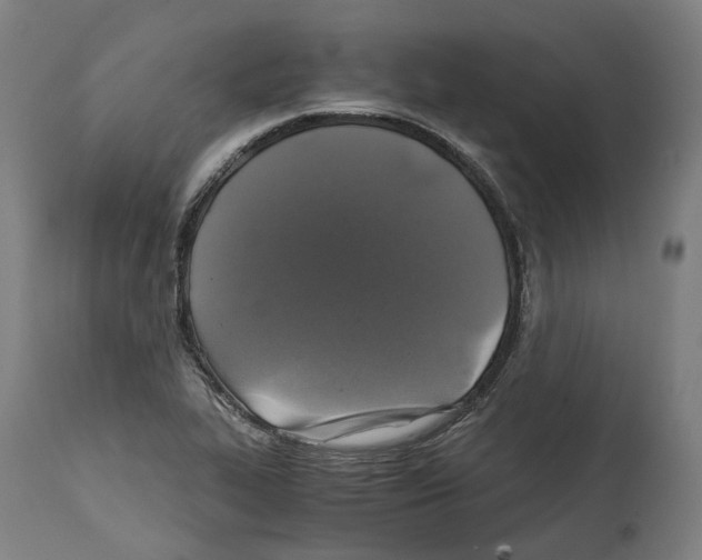 X0000114391319200911131334