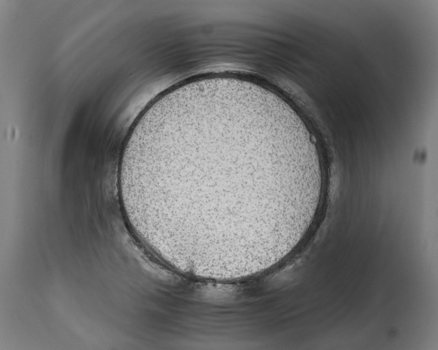 X0000114391321200911131334