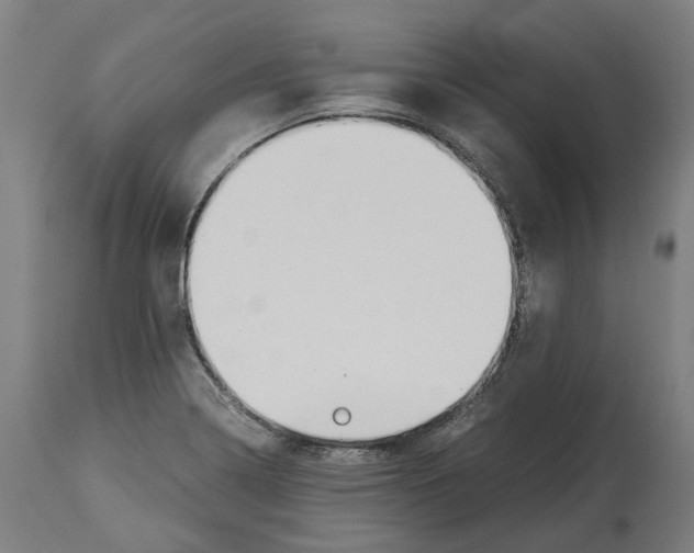 X0000114391322200911131334