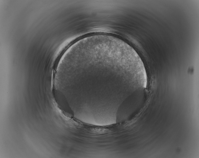 X0000114391323200911131334