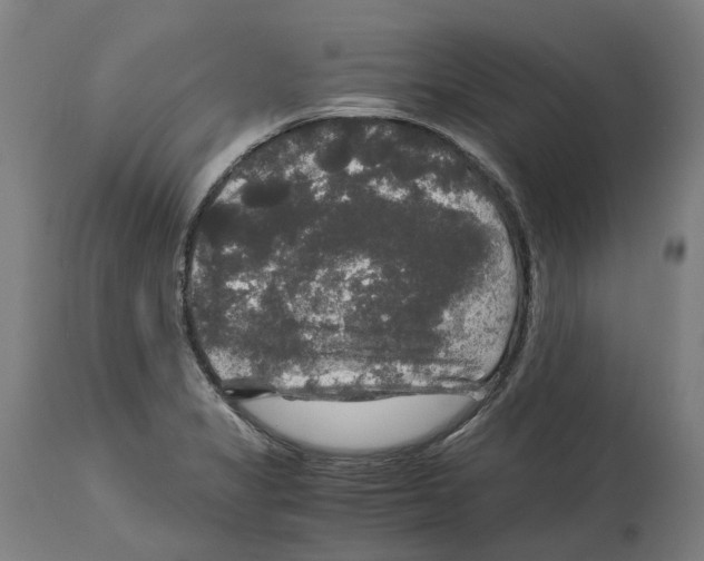 X0000114391325200911131334