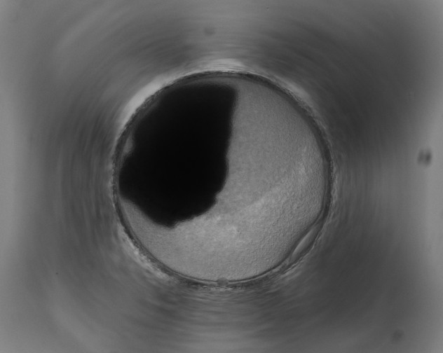 X0000114391326200911131334