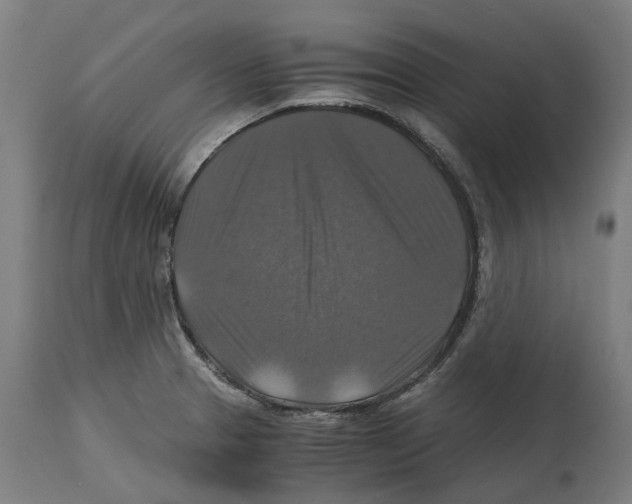X0000114391329200911131334