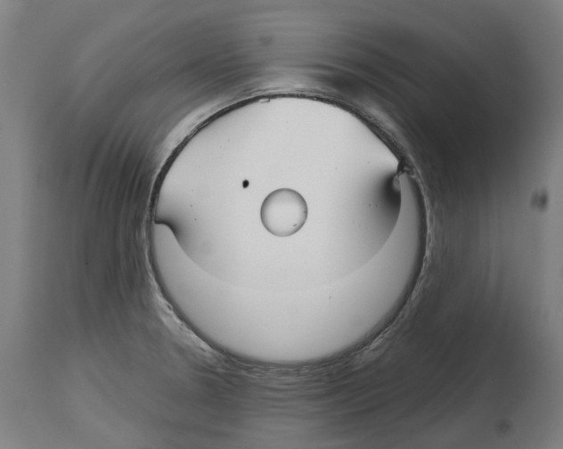 X0000114391330200911131334