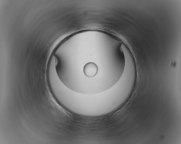 X0000114391331200911131334