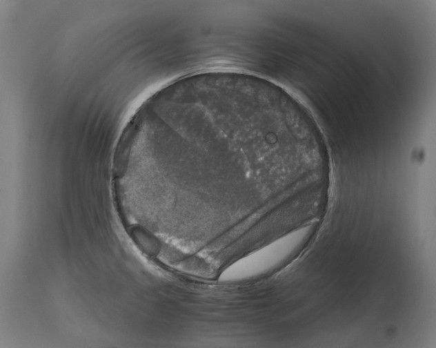 X0000114391333200911131334
