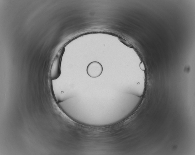 X0000114391334200911131334