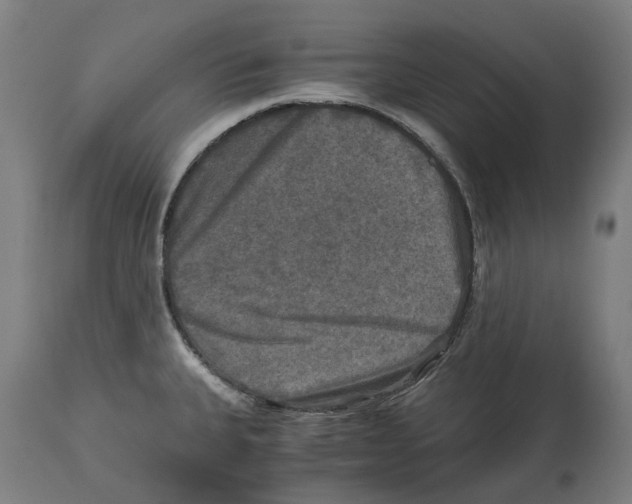 X0000114391335200911131334
