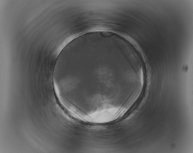 X0000114391337200911131334