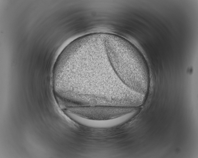 X0000114391339200911131334