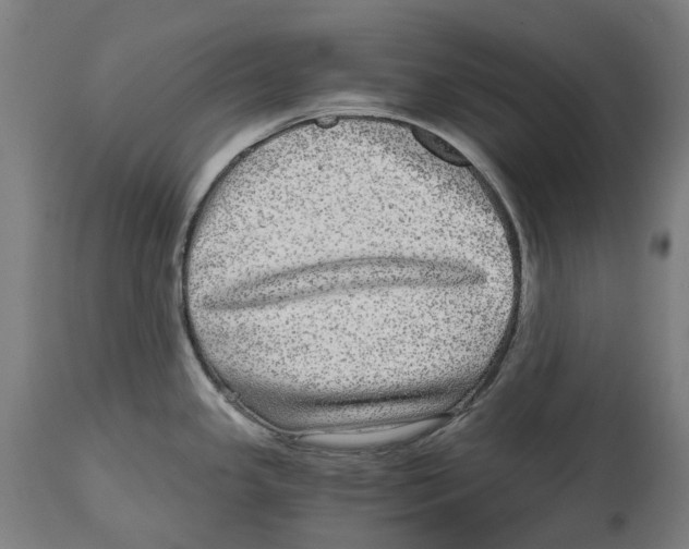 X0000114391341200911131334