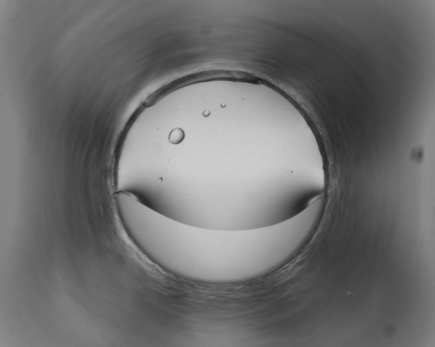 X0000114391342200911131334