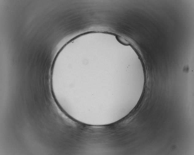 X0000114391343200911131334