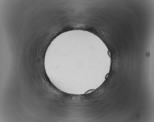 X0000114391345200911131333