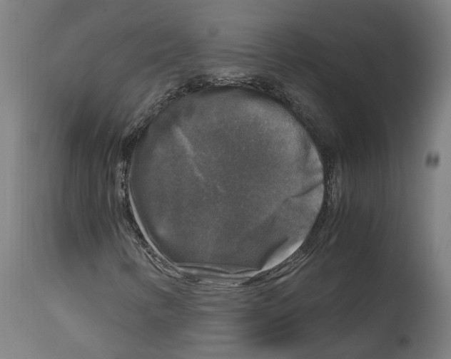 X0000114391346200911131333