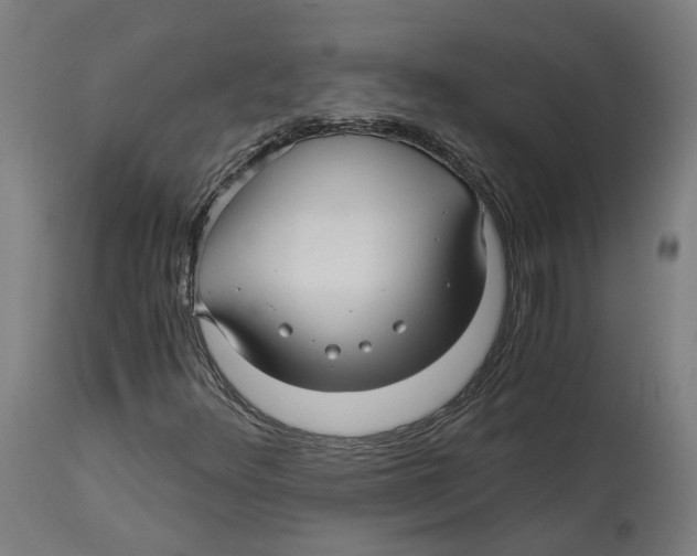 X0000114391348200911131333
