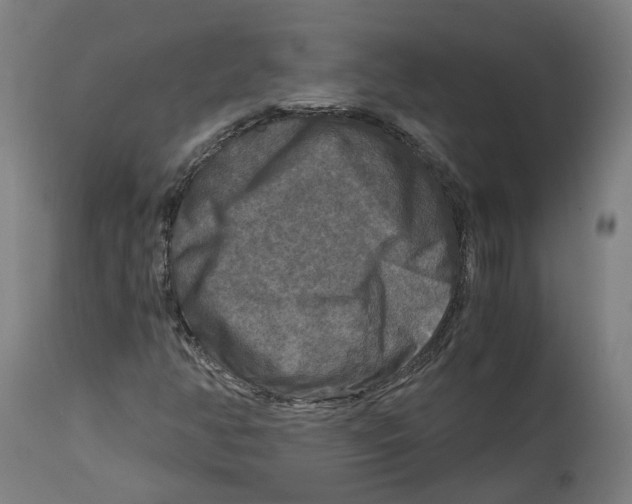 X0000114391350200911131333