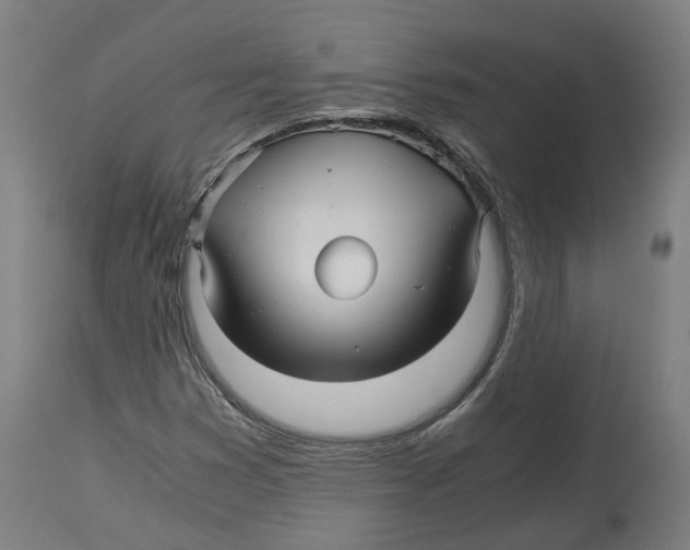X0000114391353200911131333