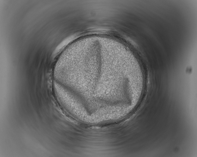 X0000114391354200911131333
