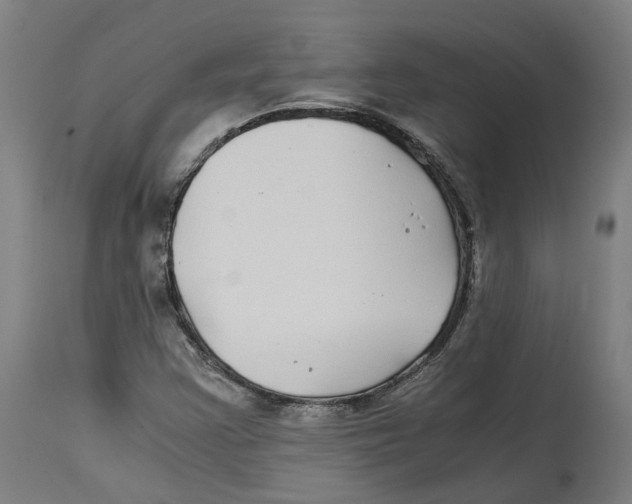X0000114391355200911131333