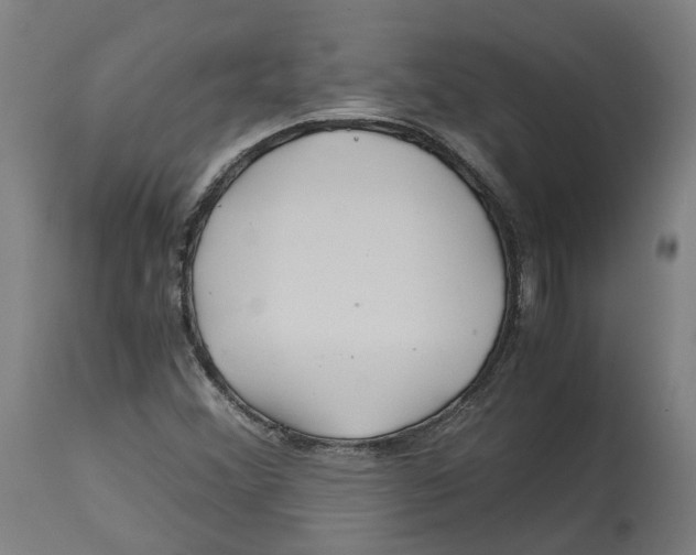 X0000114391356200911131333