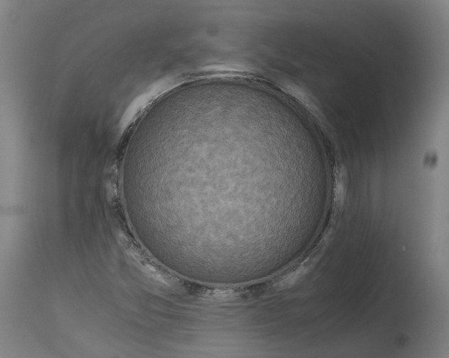 X0000114391357200911131333