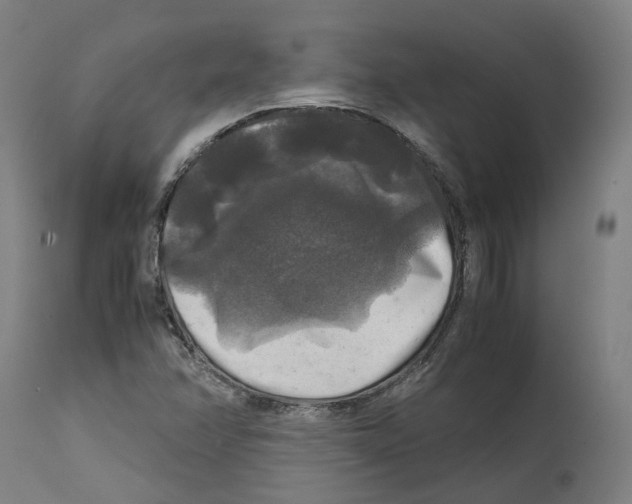 X0000114391358200911131333