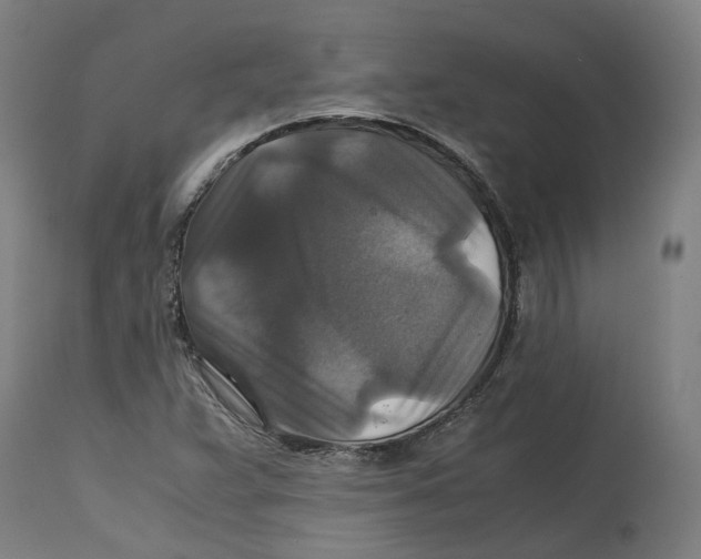 X0000114391359200911131333