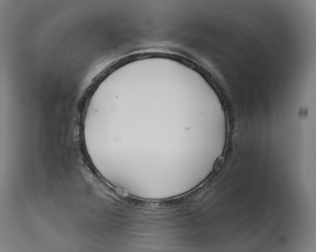 X0000114391360200911131333