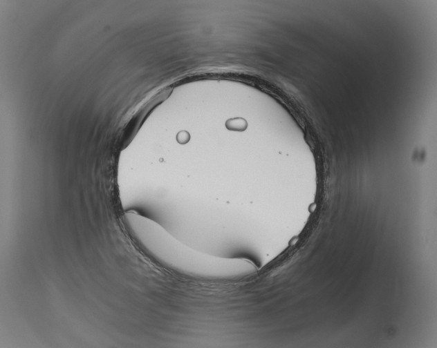X0000114391361200911131333