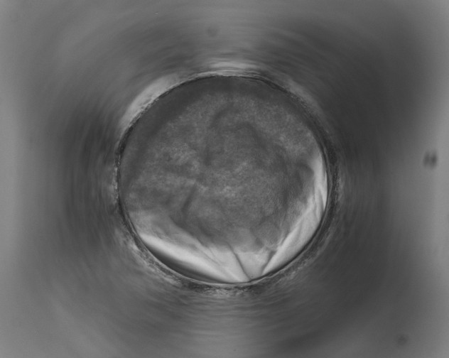 X0000114391362200911131333