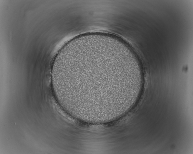 X0000114391363200911131333