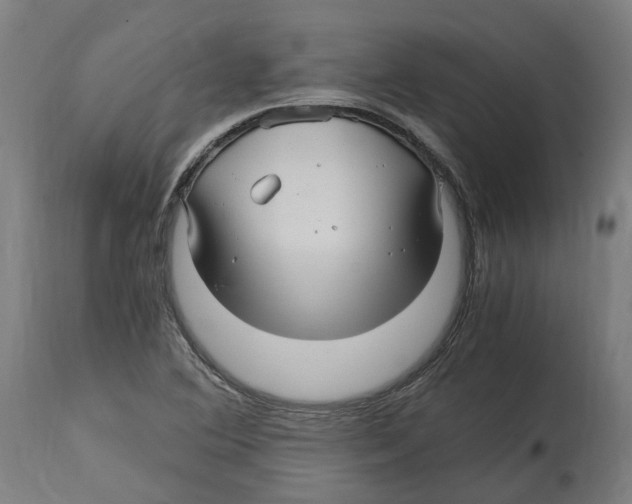 X0000114391364200911131333