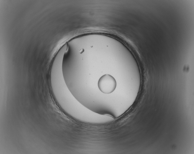 X0000114391365200911131333