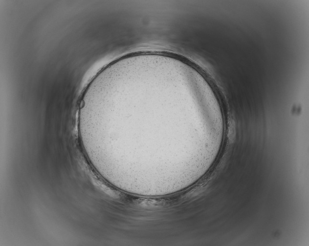 X0000114391366200911131333