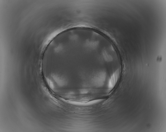 X0000114391367200911131333