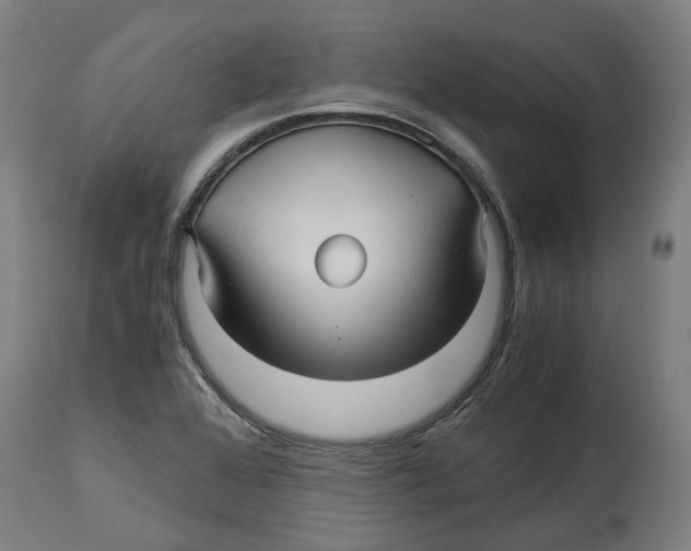 X0000114391368200911131333