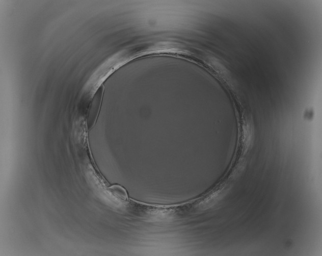 X0000114391369200911131333