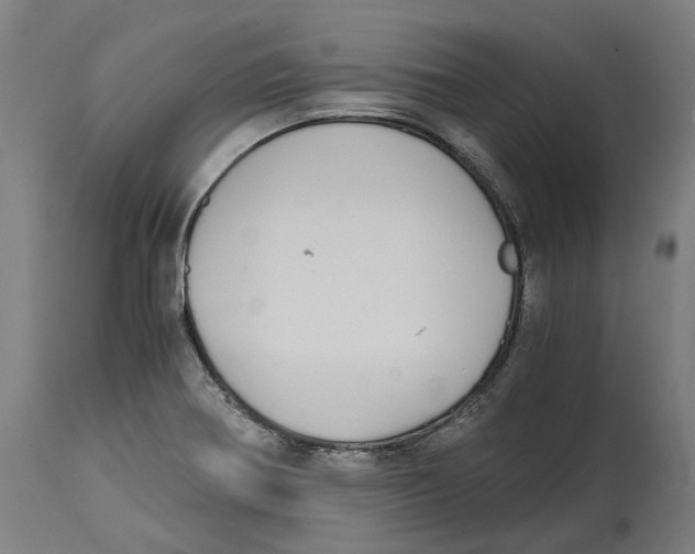 X0000114391370200911131333