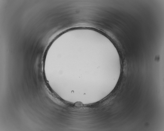 X0000114391372200911131333