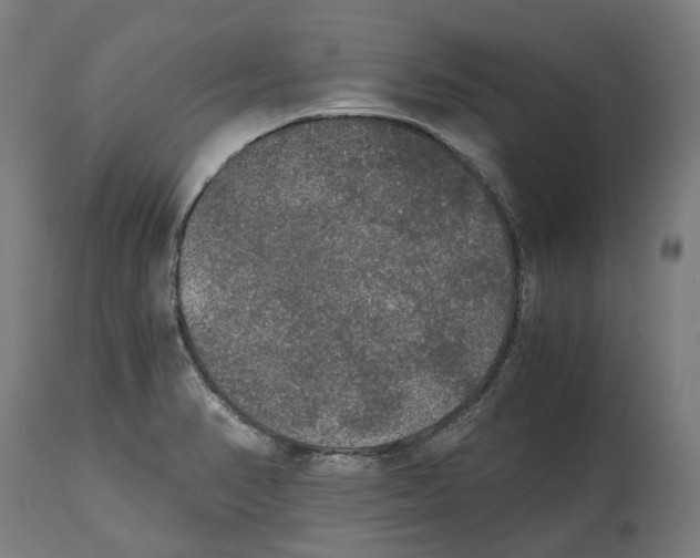 X0000114391374200911131333
