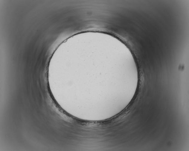 X0000114391375200911131333