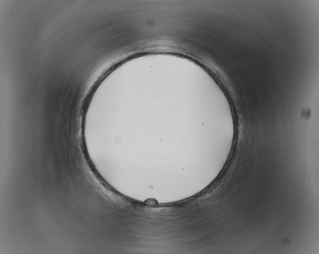 X0000114391376200911131333
