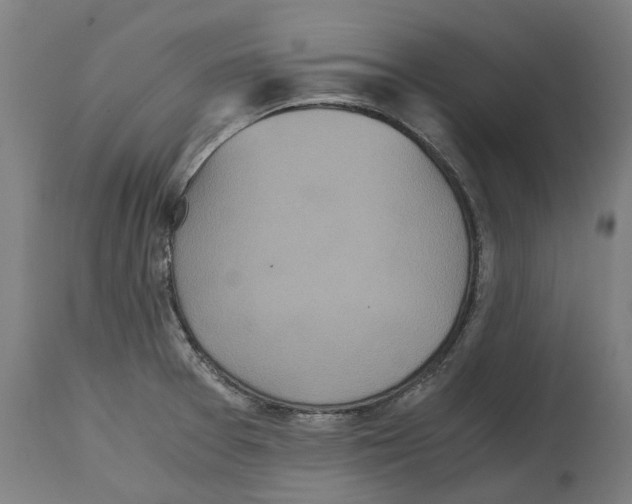 X0000114391377200911131333