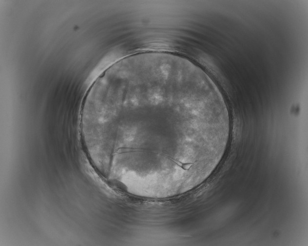 X0000114391378200911131333