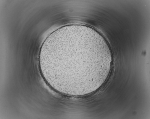 X0000114391379200911131333