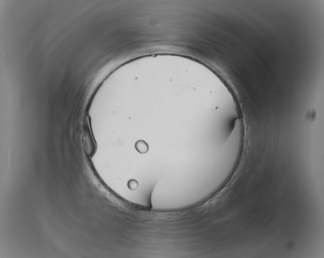 X0000114391381200911131333