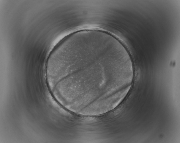 X0000114391382200911131333